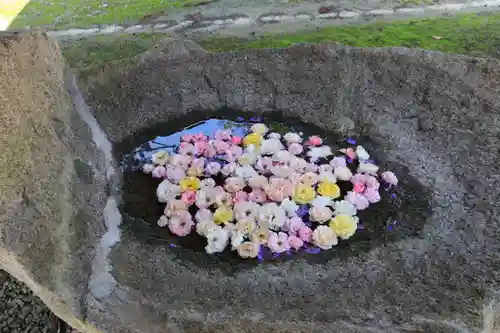 田村神社の手水