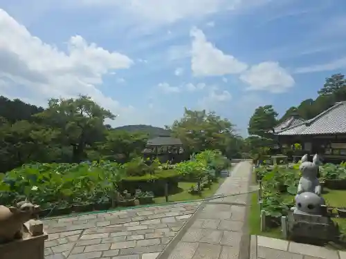三室戸寺(京都府)