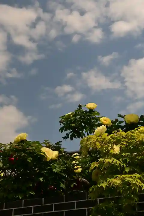 少林寺(埼玉県)