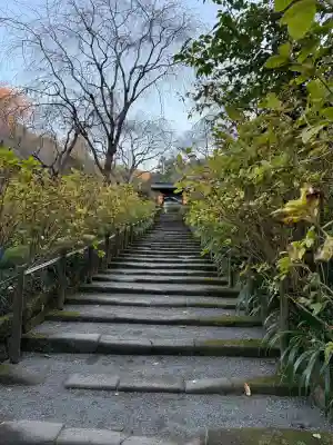 明月院の{uncategorized: "未分類", other: "その他", undefined: "問題あり", building: "その他建物", grave: "お墓", sacred_gate: "鳥居", guardian: "狛犬", statue: "像", buddha: "仏像", history: "歴史", nature: "自然", garden: "庭園", animal: "動物", pagoda: "塔", temizu: "手水舎", mountain_gate: "山門・神門", sanctuary: "本殿・本堂", subordinate: "末社・摂社", art: "芸術", scenery: "景色", jizo: "地蔵", ema: "絵馬", goshuin: "御朱印", omikuji: "おみくじ", items: "授与品その他", amulet: "お守り", goshuincho: "御朱印帳", eats: "食事", festival: "お祭り", votive_dance: "神楽", shichigosan: "七五三参", wedding: "結婚式", experience: "体験その他", initially: "初詣", around: "周辺", anti_infection: "感染症対策"}