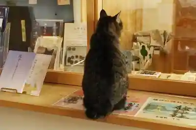艫神社の{uncategorized: "未分類", other: "その他", undefined: "問題あり", building: "その他建物", grave: "お墓", sacred_gate: "鳥居", guardian: "狛犬", statue: "像", buddha: "仏像", history: "歴史", nature: "自然", garden: "庭園", animal: "動物", pagoda: "塔", temizu: "手水舎", mountain_gate: "山門・神門", sanctuary: "本殿・本堂", subordinate: "末社・摂社", art: "芸術", scenery: "景色", jizo: "地蔵", ema: "絵馬", goshuin: "御朱印", omikuji: "おみくじ", items: "授与品その他", amulet: "お守り", goshuincho: "御朱印帳", eats: "食事", festival: "お祭り", votive_dance: "神楽", shichigosan: "七五三参", wedding: "結婚式", experience: "体験その他", initially: "初詣", around: "周辺", anti_infection: "感染症対策"}