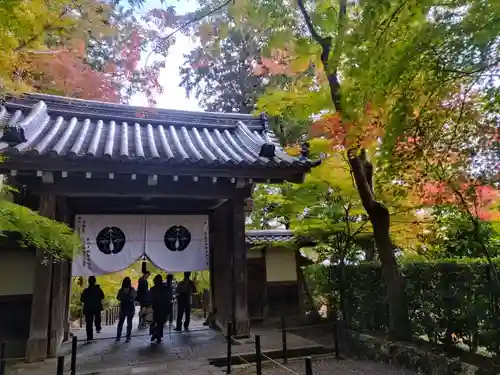 光明寺（粟生光明寺）(京都府)