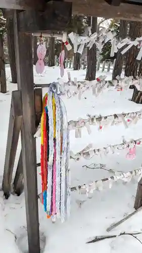 上川神社のおみくじ