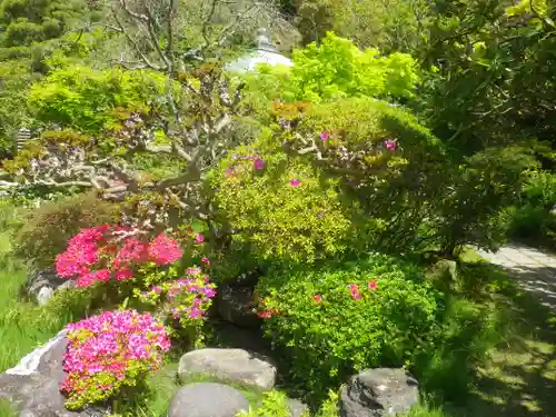浄光明寺の庭園