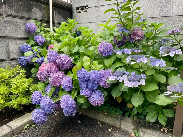 日慶寺(東京都)