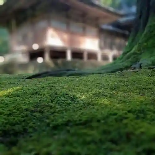 安波賀春日神社(福井県)