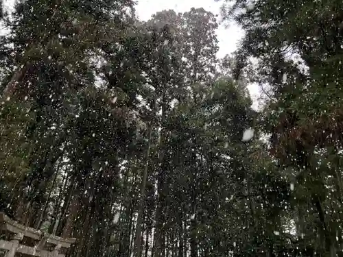 大宮温泉神社(栃木県)