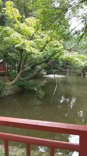 間々田八幡宮の庭園