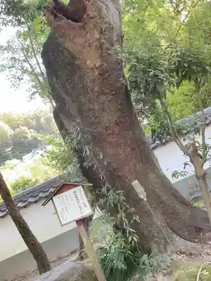 昌光律寺(愛知県)