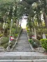 横山八幡宮の自然