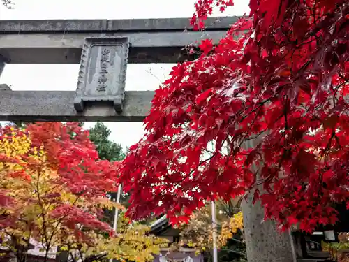 彌彦神社　(伊夜日子神社)の自然