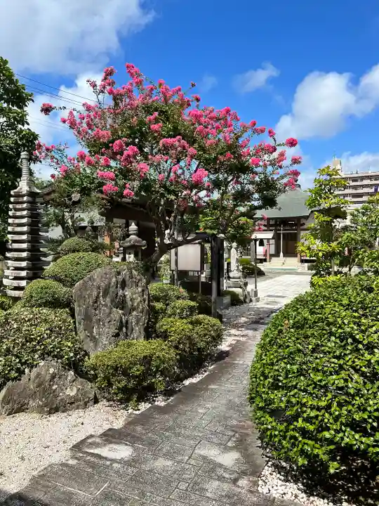 瑞雲寺(宮城県)