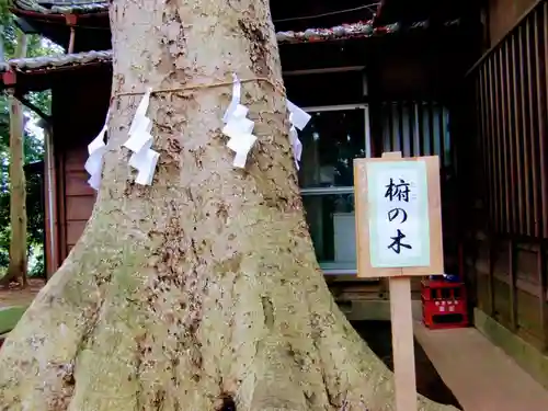 氷川女體神社の自然