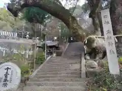 玉祖神社(大阪府)