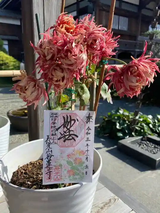 妙蓮寺(神奈川県)