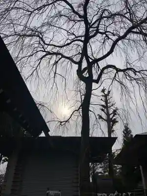 開成山大神宮(福島県)