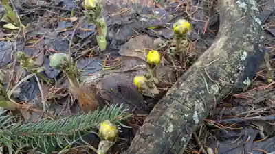 興国神社(北海道)