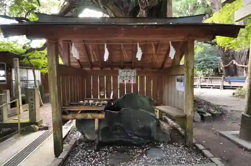 八坂神社(高知県)