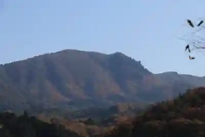 日枝神社の周辺