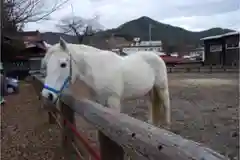 小室浅間神社の動物