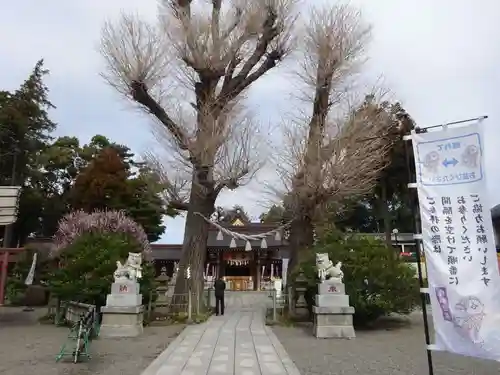 亀ケ池八幡宮のその他建物