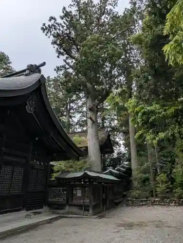 雄山神社前立社壇の{uncategorized: "未分類", other: "その他", undefined: "問題あり", building: "その他建物", grave: "お墓", sacred_gate: "鳥居", guardian: "狛犬", statue: "像", buddha: "仏像", history: "歴史", nature: "自然", garden: "庭園", animal: "動物", pagoda: "塔", temizu: "手水舎", mountain_gate: "山門・神門", sanctuary: "本殿・本堂", subordinate: "末社・摂社", art: "芸術", scenery: "景色", jizo: "地蔵", ema: "絵馬", goshuin: "御朱印", omikuji: "おみくじ", items: "授与品その他", amulet: "お守り", goshuincho: "御朱印帳", eats: "食事", festival: "お祭り", votive_dance: "神楽", shichigosan: "七五三参", wedding: "結婚式", experience: "体験その他", initially: "初詣", around: "周辺", anti_infection: "感染症対策"}