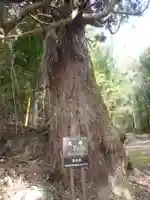 恩真寺(愛知県)