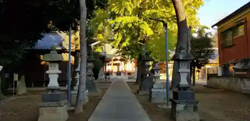 柴又八幡神社のその他建物