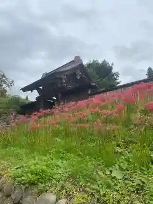 慈恩寺のその他建物