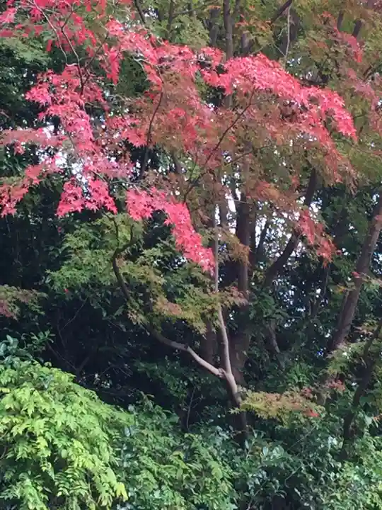 倭姫宮(皇大神宮別宮)の自然
