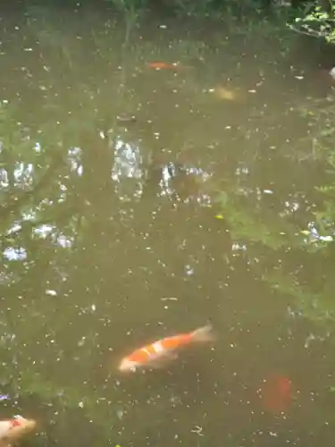 金蔵寺(千葉県)