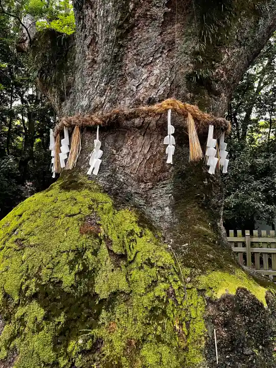 熱田神宮(愛知県)