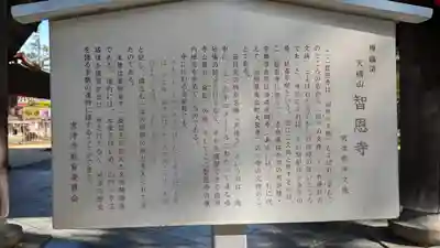 智恩寺(京都府)