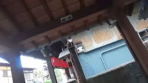 道祖神社のその他建物