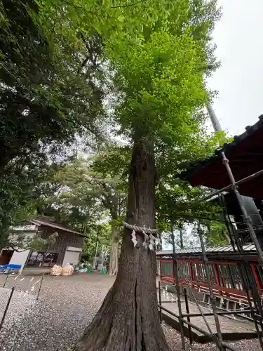 玉前神社(千葉県)