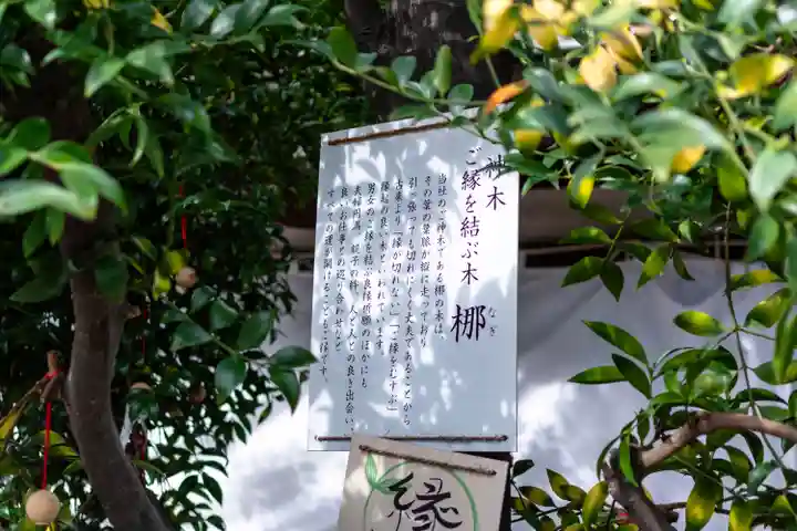 元祇園梛神社・隼神社(京都府)