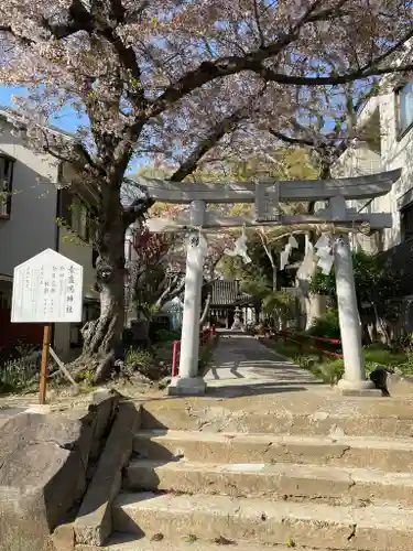 素盞嗚神社の鳥居