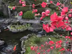 長谷寺の庭園