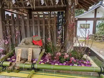 北野天満宮(京都府)