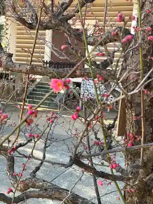 諏訪神社(東京都)