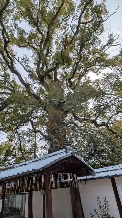 新熊野神社(京都府)