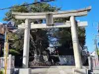 白山神社の鳥居