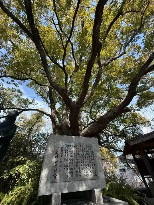 真田山 三光神社の{uncategorized: "未分類", other: "その他", undefined: "問題あり", building: "その他建物", grave: "お墓", sacred_gate: "鳥居", guardian: "狛犬", statue: "像", buddha: "仏像", history: "歴史", nature: "自然", garden: "庭園", animal: "動物", pagoda: "塔", temizu: "手水舎", mountain_gate: "山門・神門", sanctuary: "本殿・本堂", subordinate: "末社・摂社", art: "芸術", scenery: "景色", jizo: "地蔵", ema: "絵馬", goshuin: "御朱印", omikuji: "おみくじ", items: "授与品その他", amulet: "お守り", goshuincho: "御朱印帳", eats: "食事", festival: "お祭り", votive_dance: "神楽", shichigosan: "七五三参", wedding: "結婚式", experience: "体験その他", initially: "初詣", around: "周辺", anti_infection: "感染症対策"}