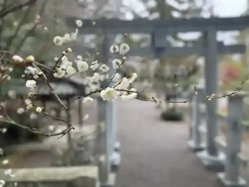 川田神社の{uncategorized: "未分類", other: "その他", undefined: "問題あり", building: "その他建物", grave: "お墓", sacred_gate: "鳥居", guardian: "狛犬", statue: "像", buddha: "仏像", history: "歴史", nature: "自然", garden: "庭園", animal: "動物", pagoda: "塔", temizu: "手水舎", mountain_gate: "山門・神門", sanctuary: "本殿・本堂", subordinate: "末社・摂社", art: "芸術", scenery: "景色", jizo: "地蔵", ema: "絵馬", goshuin: "御朱印", omikuji: "おみくじ", items: "授与品その他", amulet: "お守り", goshuincho: "御朱印帳", eats: "食事", festival: "お祭り", votive_dance: "神楽", shichigosan: "七五三参", wedding: "結婚式", experience: "体験その他", initially: "初詣", around: "周辺", anti_infection: "感染症対策"}