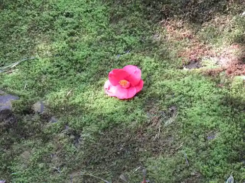 法然院(京都府)