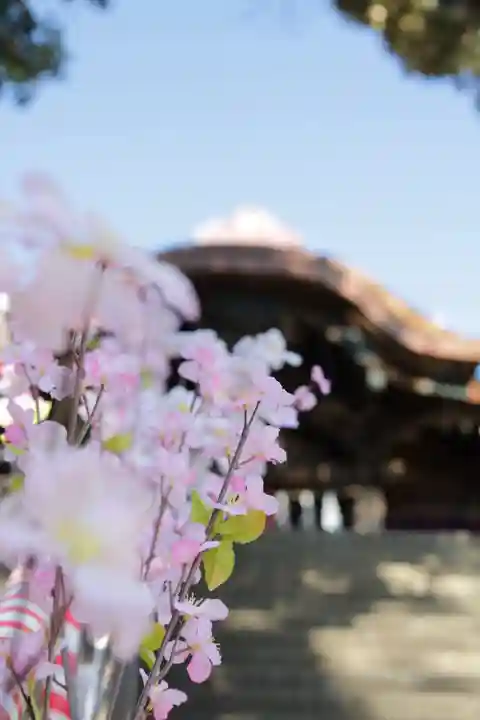 岩槻愛宕神社(埼玉県)