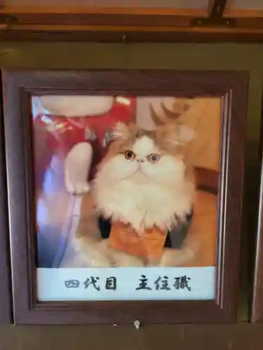 猫猫寺(京都府)