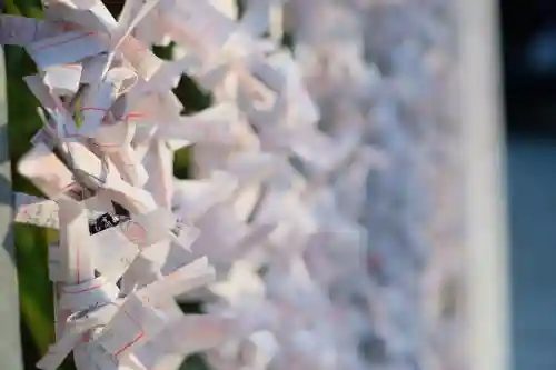大國魂神社の{uncategorized: "未分類", other: "その他", undefined: "問題あり", building: "その他建物", grave: "お墓", sacred_gate: "鳥居", guardian: "狛犬", statue: "像", buddha: "仏像", history: "歴史", nature: "自然", garden: "庭園", animal: "動物", pagoda: "塔", temizu: "手水舎", mountain_gate: "山門・神門", sanctuary: "本殿・本堂", subordinate: "末社・摂社", art: "芸術", scenery: "景色", jizo: "地蔵", ema: "絵馬", goshuin: "御朱印", omikuji: "おみくじ", items: "授与品その他", amulet: "お守り", goshuincho: "御朱印帳", eats: "食事", festival: "お祭り", votive_dance: "神楽", shichigosan: "七五三参", wedding: "結婚式", experience: "体験その他", initially: "初詣", around: "周辺", anti_infection: "感染症対策"}