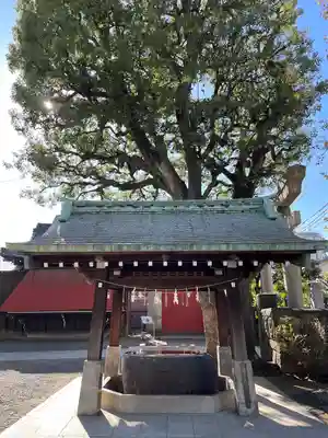 麻布氷川神社の手水舎