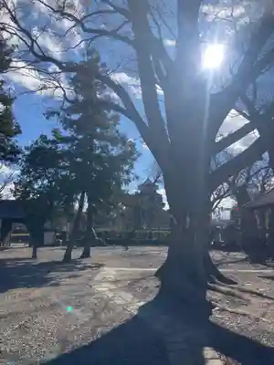 松本神社(長野県)